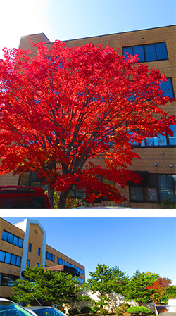 10月13日　帯広大谷短期大学非常勤講義〔3〕