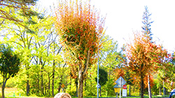 2025年10月19日 骨と歯の健康連携フォーラム