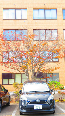 2025年10月21日 帯広大谷短大講義〔4〕