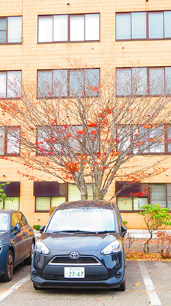 2025年10月28日 帯広大谷短大講義〔5〕