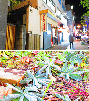 2025年10月29日 歯科医師会有志懇談会