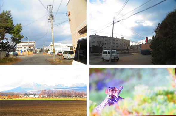 2025年11月22日 障がい者歯科診療