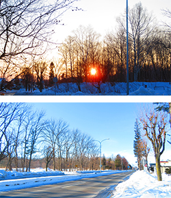 2026年1月5日　保健所年始挨拶