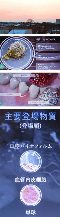 2026年2月14日　サンスター：細胞間コミュニケーション