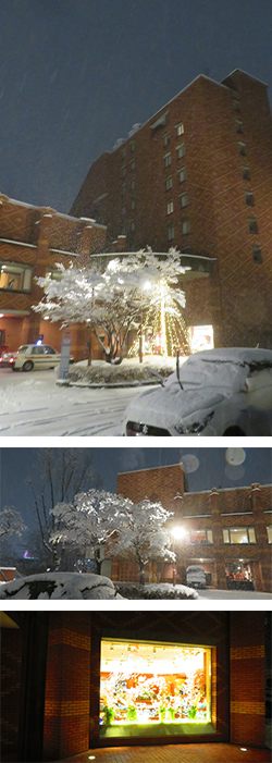 2026年3月4日　帯広保健所連携推進会議