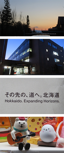 2026年3月24日　道庁歯科医療提供体制検討会