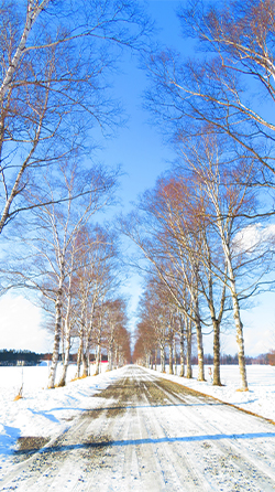 2026年1月10日　障がい者歯科診療