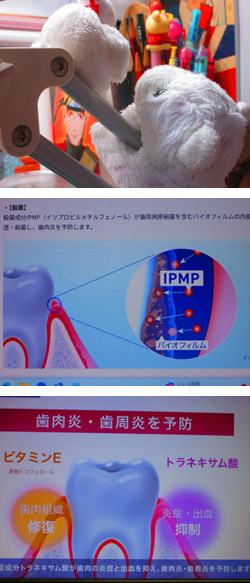 2026年4月22日　ライオンweb