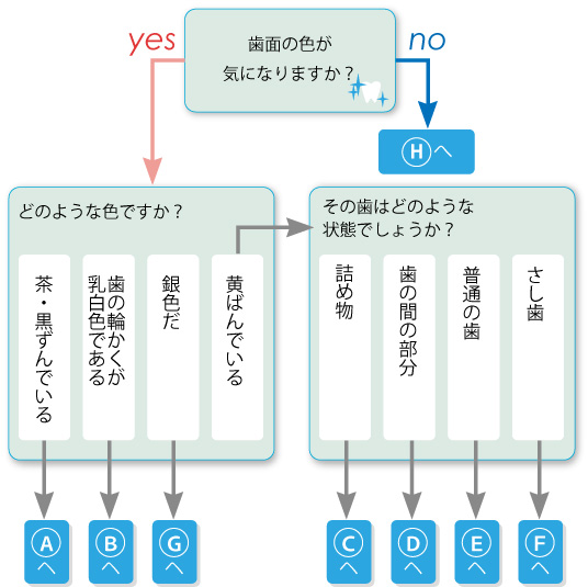 診断チャート